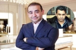 Nehal Deepak Modi scam, Nirav Modi's Brother, nirav modi s brother arrested in usa, United states