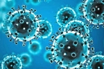 Coronavirus, Coronavirus, omicron fear for tollywood, Coronavirus india