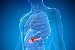 Pancreatic Cancer breaking, Pancreatic Cancer doctors, how to protect yourself from pancreatic cancer, Smoking
