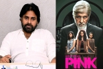 Pawan Kalyan new film, Pawan Kalyan remake, powerstar in talks for pink remake, Pink remake Pawan Kalyan new film, Pawan Kalyan remake, powerstar in talks for pink remake, Pink remake