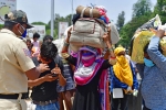 sonu sood, migrant workers, plight of migrant workers baby shakes to wake up deceased mother, Toddler