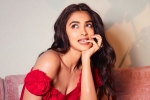Pooja Hegde flops, Pooja Hegde upcoming films, pooja hegde in talks for a biggie, Siddharth roy kapur