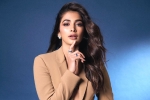 Pooja Hegde 2024, Pooja Hegde Telugu, pooja hegde lines up bollywood films, Shahid kapoor