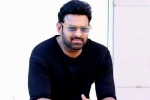 Prabhas next movie, Prabhas upcoming film, prabhas to return back to work, Ashwini dutt