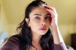 Priyanka Chopra statement, Don't Look For Virgin Wife statement, priyanka chopra breaks silence on don t look for virgin wife comment, Mahesh babu