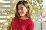 Rashmika Mandanna new movies, Rashmika Mandanna pan-Indian movie, rashmika mandanna bags one more biggie, Gautam tinnanuri