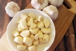 Raw Garlic and Blood Pressure news, Raw Garlic health, does eating raw garlic help with high blood pressure, Raw garlic Raw Garlic and Blood Pressure news, Raw Garlic health, does eating raw garlic help with high blood pressure, Raw garlic