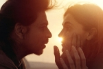 SRK, Dunki budget, srk s dunki to be high on violence, Rajkumar hirani