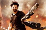 Saaho news, Saaho updates, saaho ten days telugu states collections, Neil nitin mukesh