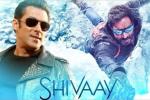 Salman Khan, Ajay Devgn, salman khan to promote shivaay, Big boss