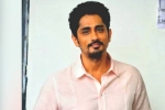 Siddharth movies, Siddharth movies, siddharth faces backlash on twitter, Rajya sabha