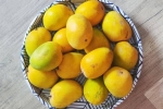 Soak Mangoes before eating, Soak Mangoes health experts, soak mangoes for 30 minutes before eating, Love Soak Mangoes before eating, Soak Mangoes health experts, soak mangoes for 30 minutes before eating, Love