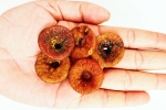 Soaked Anjeer for health, Soaked Anjeer news, can you take soaked anjeer every day, Pants