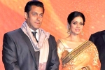 Salman Khan news, Salman Khan news, sridevi to work with salman khan, English vinglish
