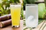 Sugarcane Juice Vs Coconut Water hydrating, Sugarcane Juice Vs Coconut Water experts, sugarcane juice vs coconut water which is hydrating, Light