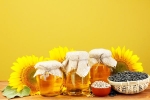 Sunflower Oil consumption, Sunflower Oil benefits, long term effects of consuming sunflower oil on heart health, Doctors