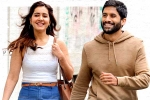 Naga Chaitanya news, Naga Chaitanya movie updates, no buzz for naga chaitanya s thank you, Avika gor