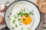 eggs, cholesterol, top 5 benefits of eggs that ll make you to eat them every day, World egg day