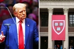 Donald Trump updates, Donald Trump news, trump demands 1 billion as damages from harvard university, Training Donald Trump updates, Donald Trump news, trump demands 1 billion as damages from harvard university, Training