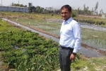 waste decomposer online, national center of organic farming waste decomposer, this u s return mba graduate is transforming a village barren land into an organic farming facility, Snowfall