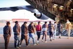 USA Illegal Immigrants, USA Illegal Immigrants news, usa arrests over 500 illegal immigrants, Preview
