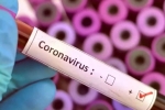 Vaccine for coronavirus, Vaccine for coronavirus, who warns covid 19 may never go away then what s the future of the world, Plague