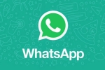 WhatsApp Native iPad App, WhatsApp Native iPad App breaking updates, whatsapp s native ipad app to release soon, Instagram