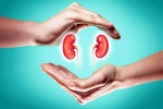 World Kidney Day 2025 tips, World Kidney Day 2025, world kidney day 2025 theme and health tips, Aging