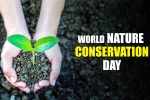 World Nature Conservation Day latest, World Nature Conservation Day latest, world nature conservation day how to conserve nature, Bamboo
