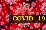 Coronavirus, Dr Tedros Adhanom Ghebreyesus, who renames the deadly coronavirus as covid 19, Snakes