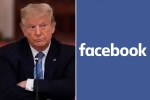Facebook bans Donald Trump, Donald Trump banned, facebook bans donald trump for 2 years, Protocols