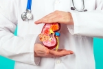 Kidney Health food, Kidney Health fruits, top fruits that are good for kidney health, Blood circulation