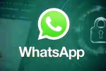 iOS Testing Multi-Account Support for WhatsApp, iOS Testing Multi-Account Support for WhatsApp, whatsapp for ios testing multi account support, Messi