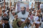 Bin Laden news, Bin Laden operations, bin laden continues to mobilize jihadists ten years after his death, Al qaeda