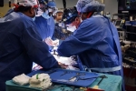 David Bennett pig heart, David Bennett heart transplant latest updates, us surgeons transplant pig heart into a human patient, Maryland hospital