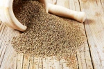 Carom Seeds, Carom Seeds health benefits, benefits of adding carom seeds to your diet, Viral