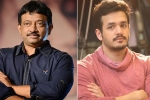 Nagarjuna, Akhil Akkineni latest, akhil rgv film in trouble, Casting couch