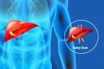 Fatty Liver Disease News breaking updates, Fatty Liver Disease News, body organs that can be affected by fatty liver disease, News updates