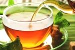 green tea, tea, is consuming tea linked to immunity, Well being