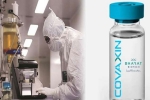 Coronavirus vaccine, Coronavirus vaccine, covaxin india s 1st covid 19 vaccine to get approval for human trials, Monkey