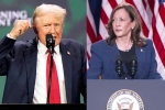 Donald Trump Vs Kamala Harris breaking, Donald Trump Vs Kamala Harris comments, donald trump calls kamala harris is married to a jewish man, Laughing