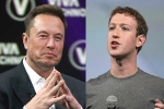 Elon Musk Vs Mark Zuckerberg new updates, Elon Musk Vs Mark Zuckerberg, elon musk vs mark zuckerberg rivalry, Lol