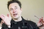 Elon Musk news, Elon Musk news, elon musk says h 1b visa system is broken, Divorce