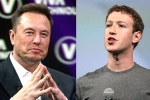 Elon Musk and Mark Zuckerberg flight, Elon Musk and Mark Zuckerberg breaking, elon vs zuckerberg mma fight ahead, Cage fight