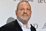 British Film Institute, British Film Institute, uk probe into harvey weinstein s sexual assaults widens with seven women, Gwyneth paltrow