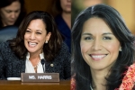 Tulsi Gabbard, Harris, kamala harris tulsi gabbard to begin campaign in february, Oklahoma