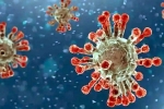 China, China Covid Row updates, new china coronavirus variant traced in india, Odisha