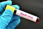 suspected Nipah Virus, Nipah Virus in Kerala, nipah virus is back again two deaths registered, Nipah virus