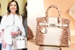 nita ambani's bag, Nita Ambani's Crocodile Skin Handbag, nita ambani s crocodile skin handbag worth rs 2 6 cr studded with 240 diamonds goes viral, Handbags