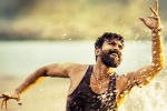 Rangasthalam 1985 updates, Samantha, ram charan s rangasthalam 1985 first look date, Dhruva